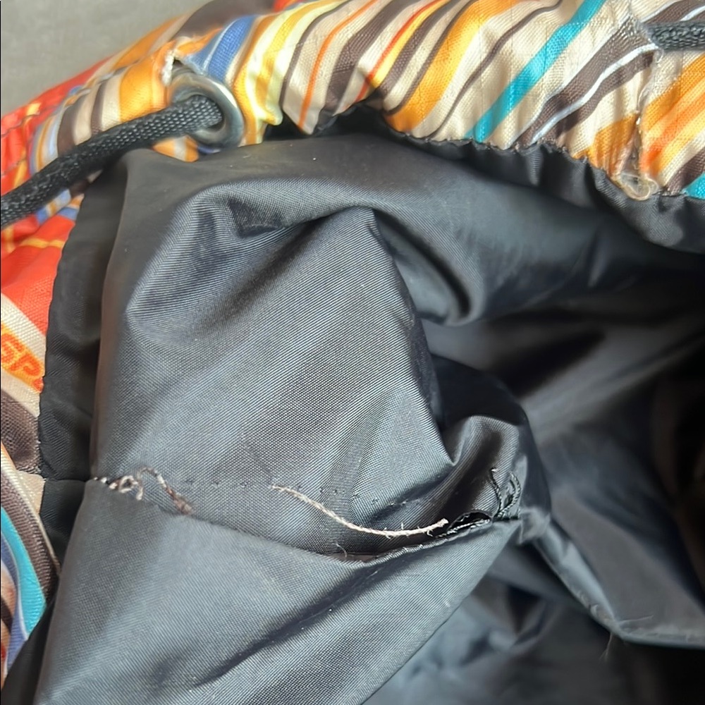 LESPORTSAC - 2010 Backpack - Picture 12 of 14